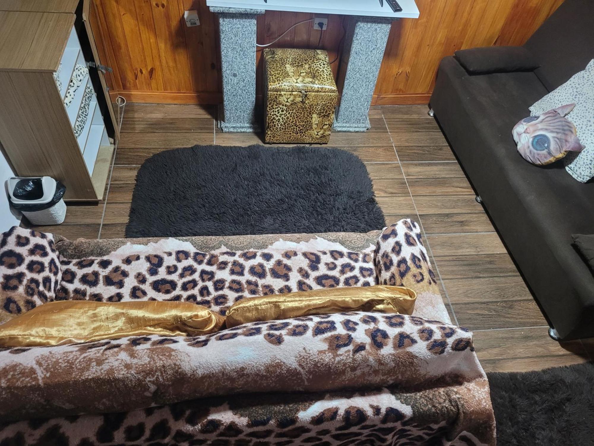 Casa Inteira Chale E Edicula Сasa de vacaciones